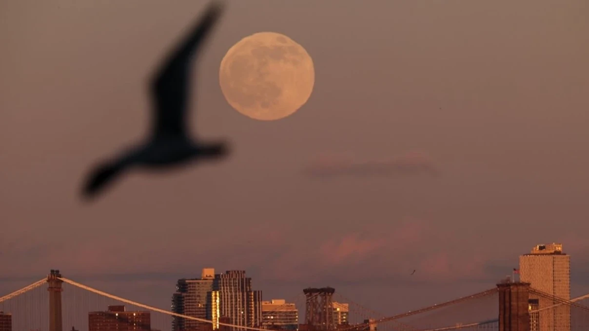 Asli 2025 12 04T164128.360