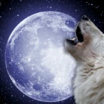 Asli 2025 12 04T164309.146