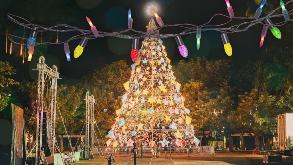 Asli 2025 12 10T154438.209