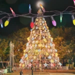 Asli 2025 12 10T154438.209