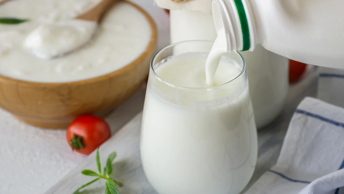 Ayran asi 5 1