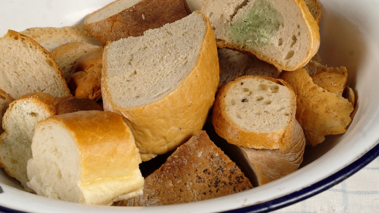 Bayat ekmek 1