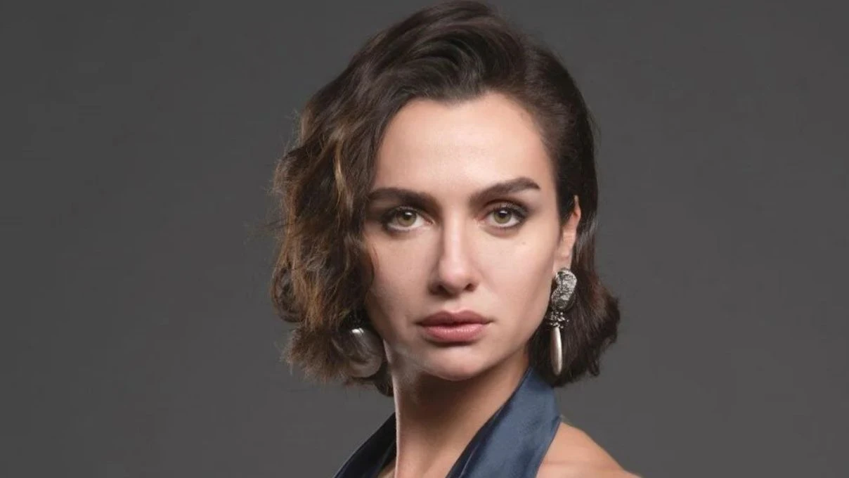 Birce Akalay’a ne oldu? Birce Akalay neden gözaltına alındı? 