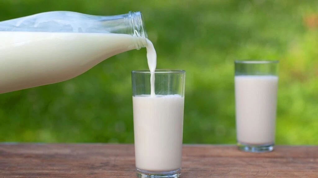 Bozuk sütten peynir yapılır mı? Bozuk süt ne zamana kadar kullanılır?