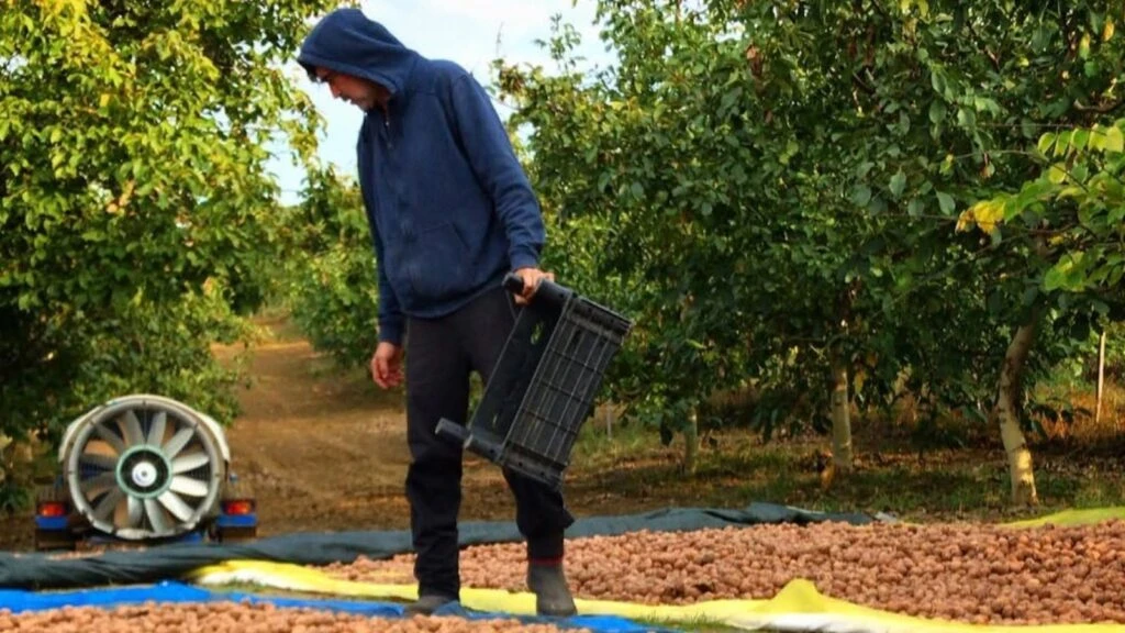 Burak Hakkı İstanbul’u terk edip Çanakkale’ye yerleşti! Ünlü oyuncu köyde çiftlik hayatı yaşamaya başladı