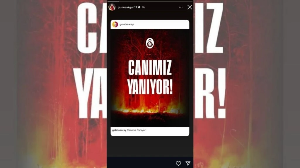 Ünlü isimlerden yürekleri dağlayan Bursa yangını paylaşımı! Ülkenin dört bir yanına ateş düştü