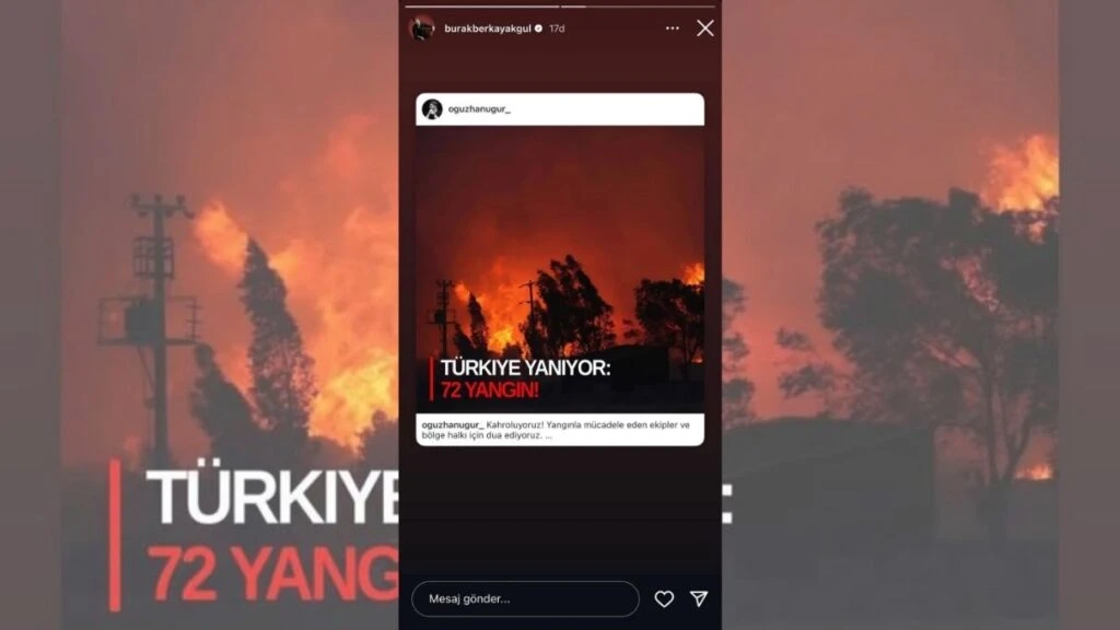 Ünlü isimlerden yürekleri dağlayan Bursa yangını paylaşımı! Ülkenin dört bir yanına ateş düştü