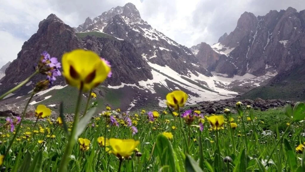 Burası İsviçre dağları değil! Hakkari Cilo Dağına ne zaman gidilmeli?