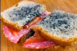 Depositphotos 19275083 S1