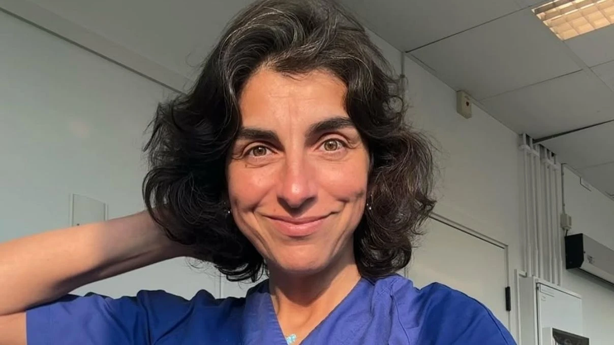 Dilek Gürsoy kimdir, evli mi? Dilek Gürsoy mesleği nedir?