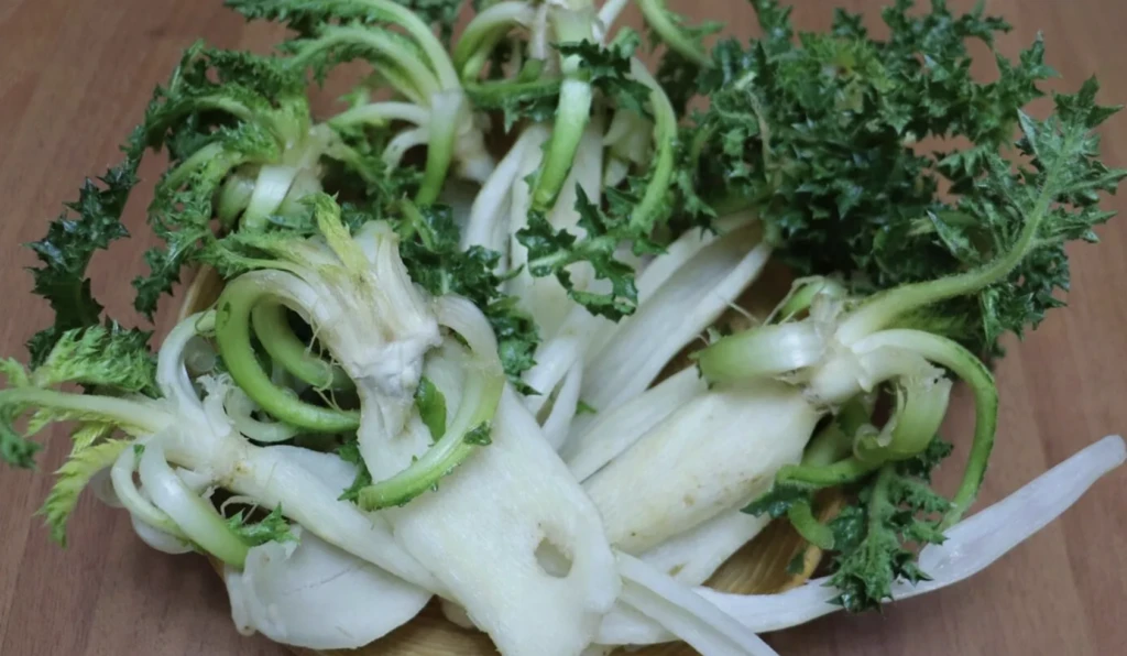 Ekran Resmi 2025 11 08 10.08.45