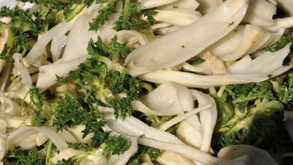 Ekran Resmi 2025 11 08 10.08.50