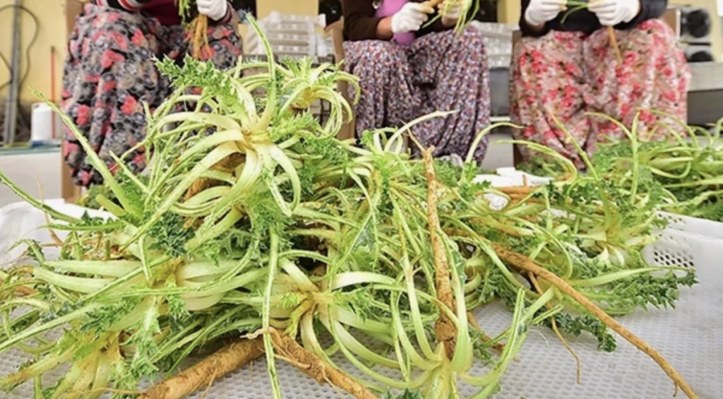 Ekran Resmi 2025 11 08 10.09.07