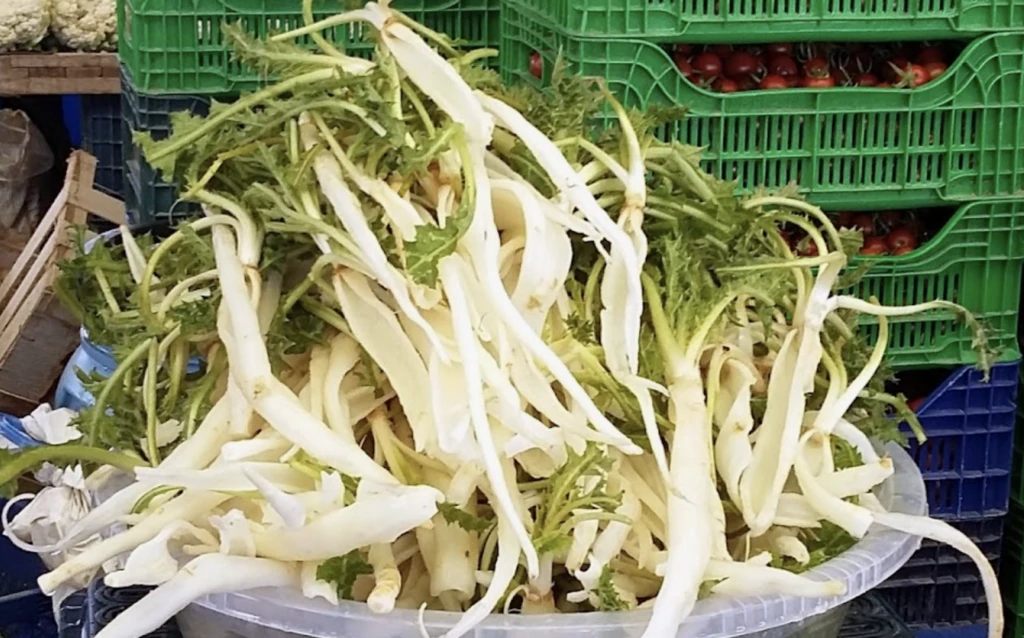 Ekran Resmi 2025 11 08 10.13.14