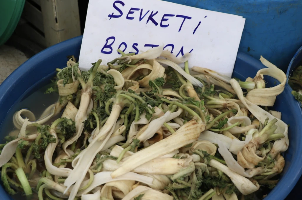 Ekran Resmi 2025 11 08 10.13.25