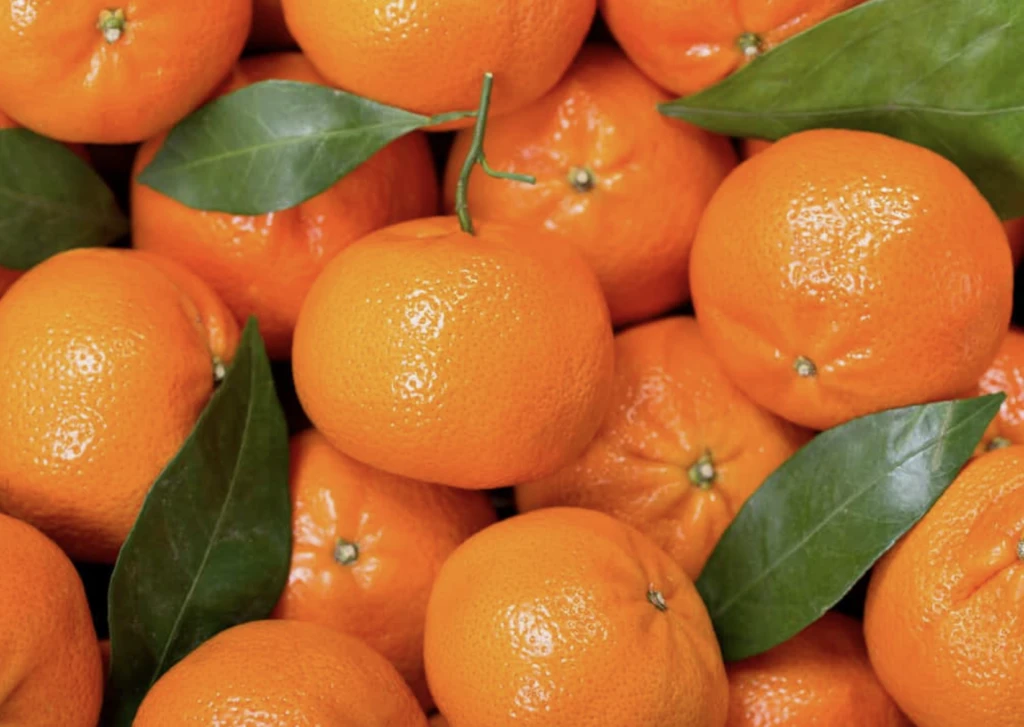 MasterChef’te mandalinayla yapılan o tatlı olay oldu! Tarifi için internet bile karıştı 10 Ekran Resmi 2025 11 19 14.07.59