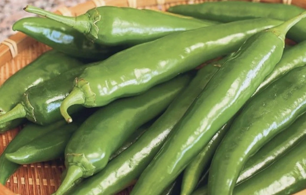 Ekran Resmi 2025 11 29 12.54.08