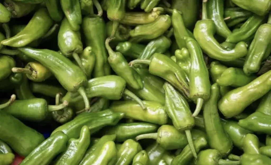 Ekran Resmi 2025 11 29 12.54.18