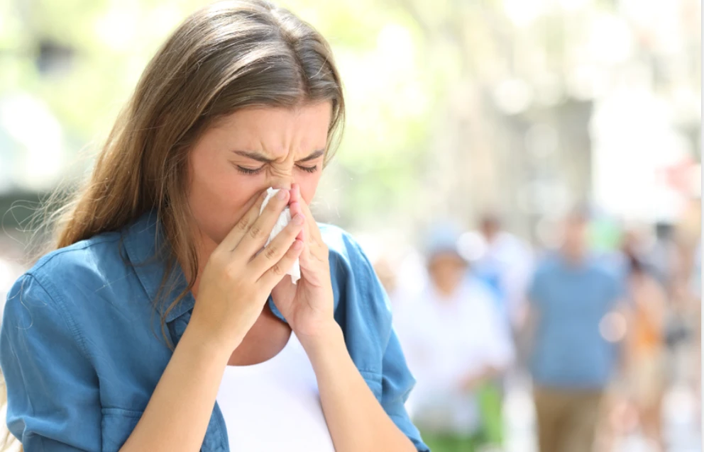 Ekran Resmi 2025 11 29 13.49.34