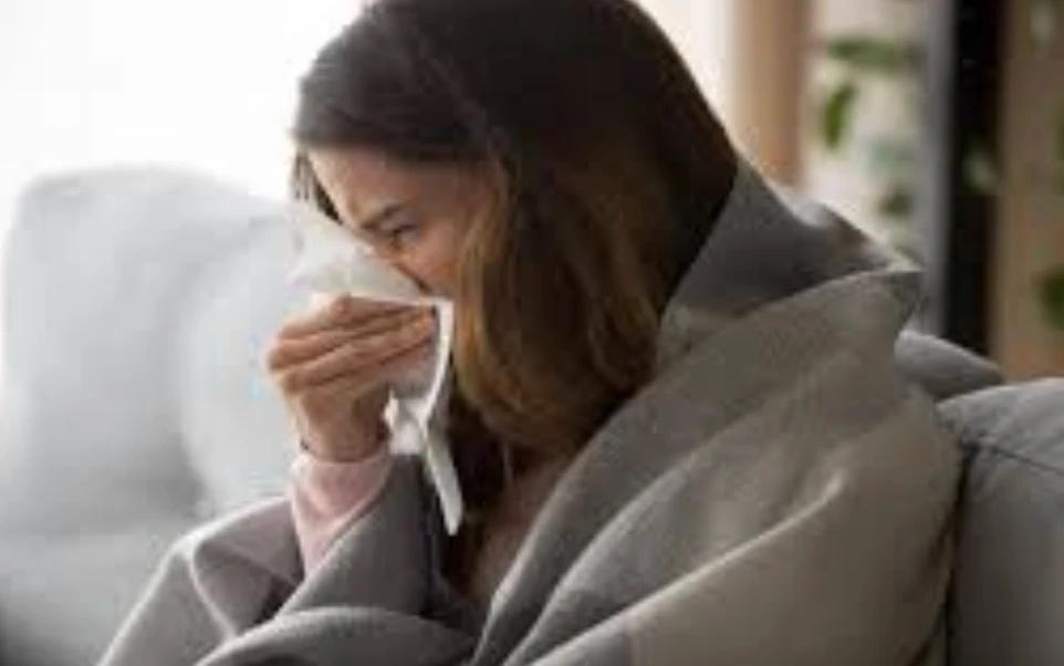 Ekran Resmi 2025 11 29 13.49.41