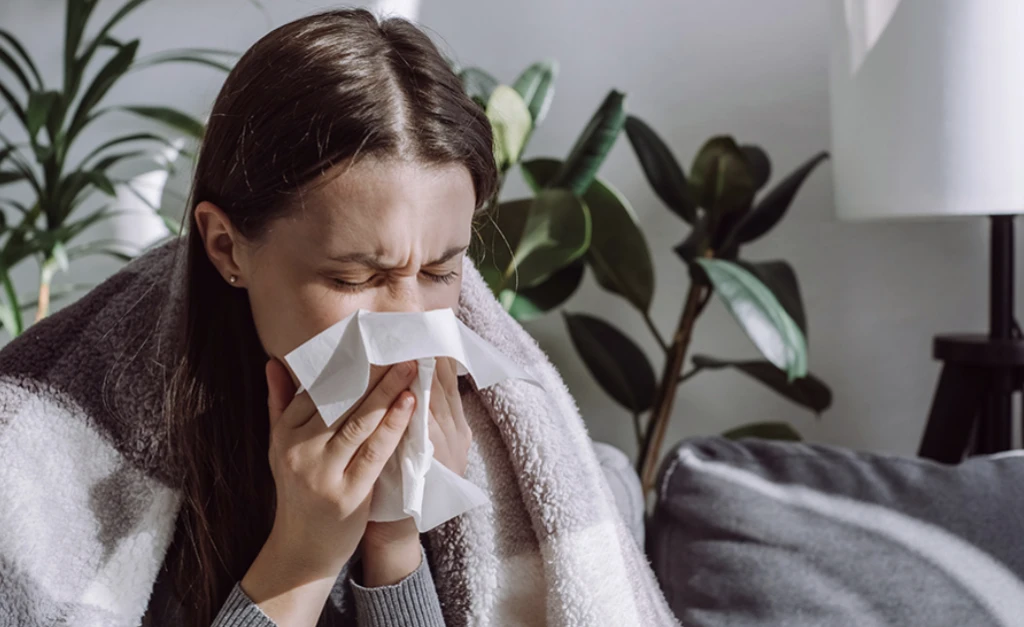 Ekran Resmi 2025 11 29 13.49.47