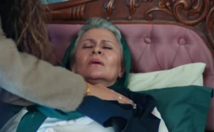 Ekran goruntusu 2025 11 10 154913