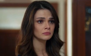 Ekran goruntusu 2025 11 17 161623