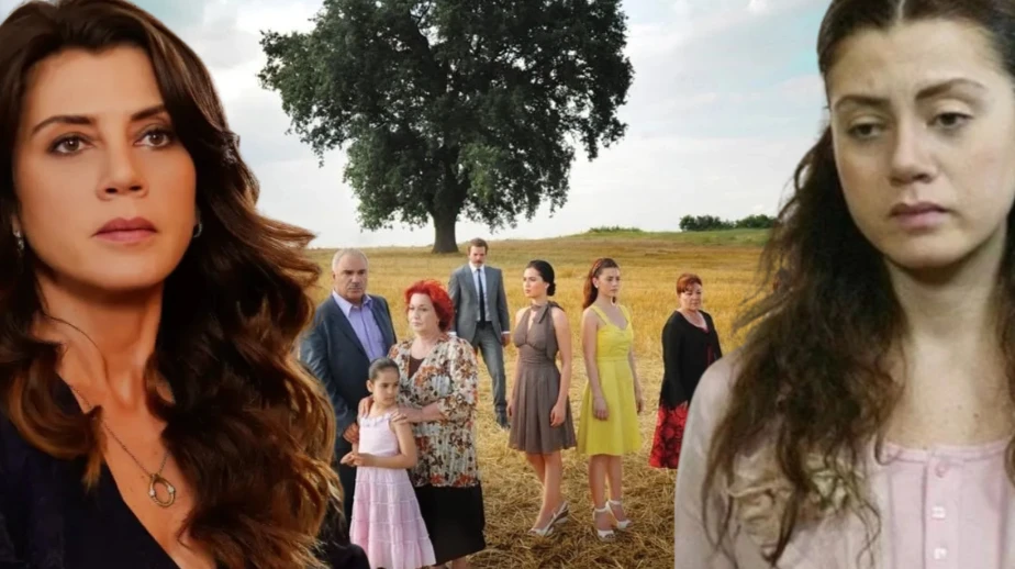 Ekran goruntusu 2025 12 02 121249