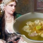 Ekran goruntusu 2025 12 02 171209