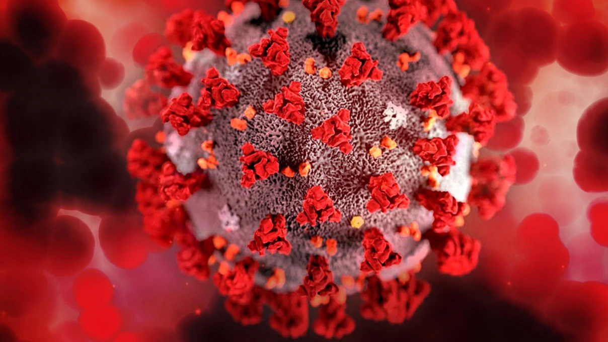 Herpes virusu 2