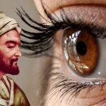 Ibn i sina dan gozleri kartal gibi keskin yapan dogal recete her gun tuketin 1
