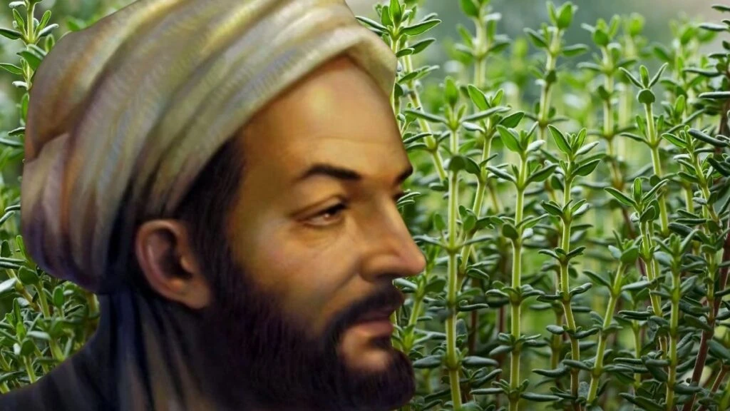 Göbek eriten İbni Sina tarifi! Asırların kilo verme sırrı