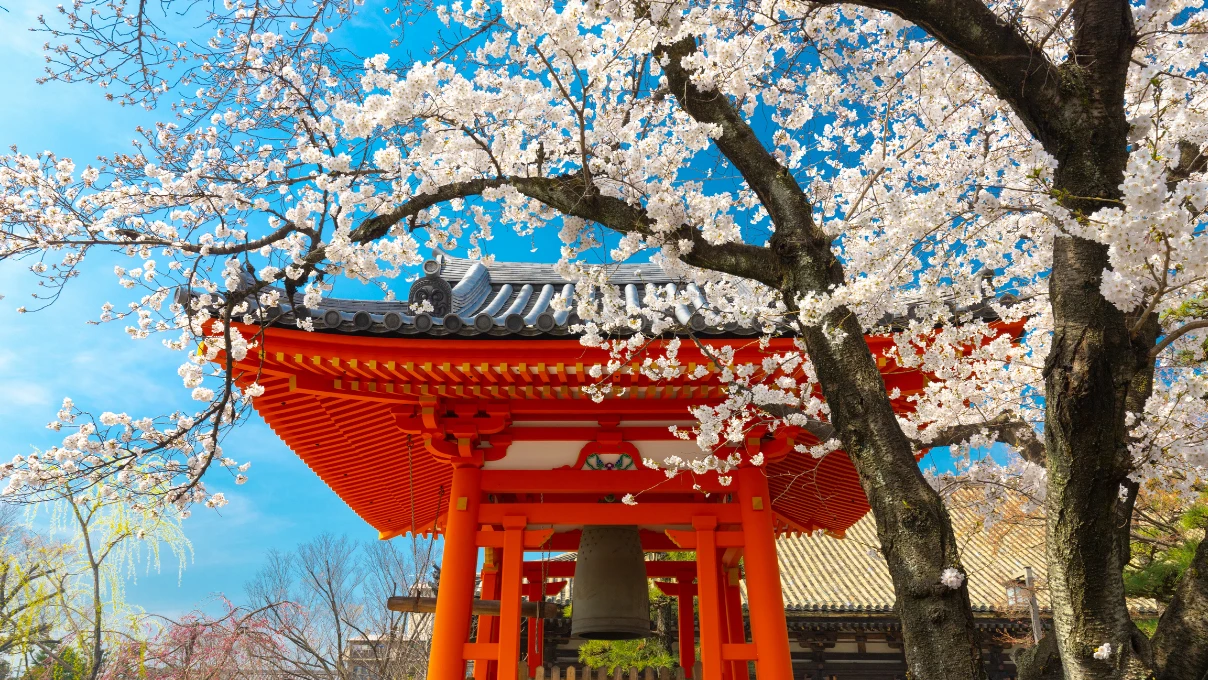 Japon 2
