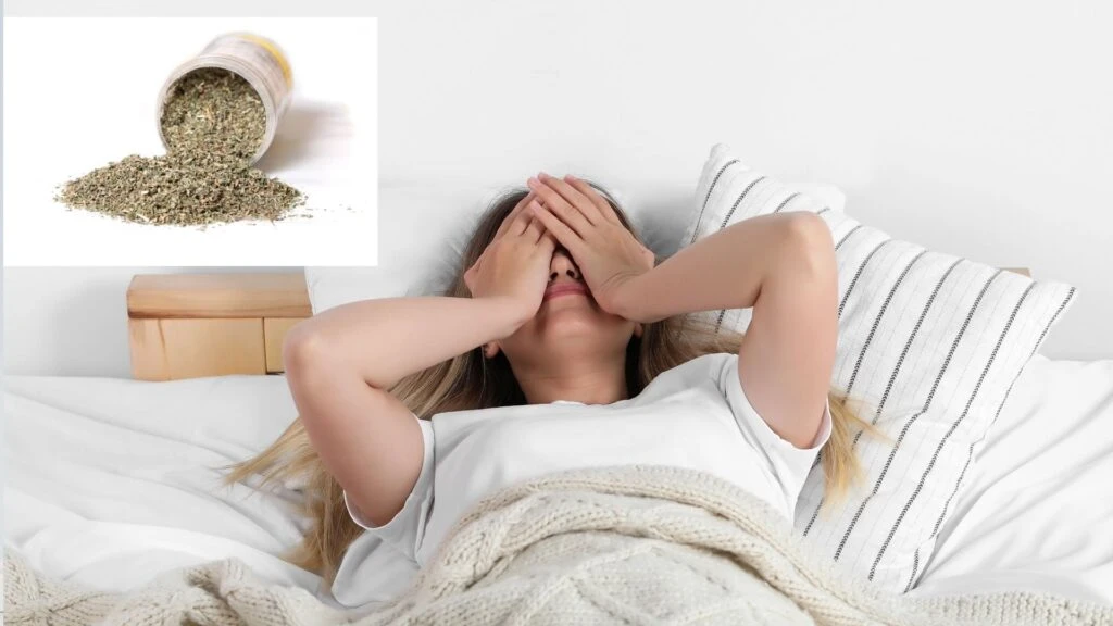 Kedi otu ile uykusuz gecelere veda edin