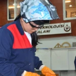 Kirkagac 1 1