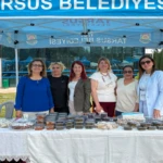 MErsin 1 3