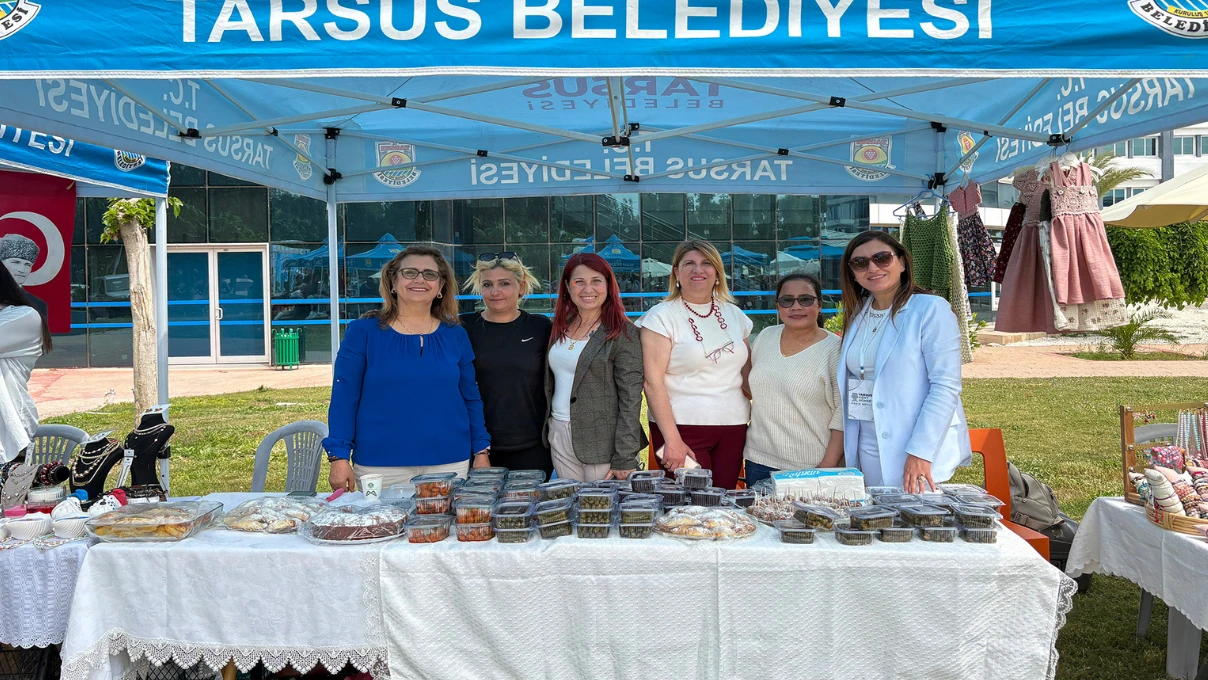 MErsin 1 3