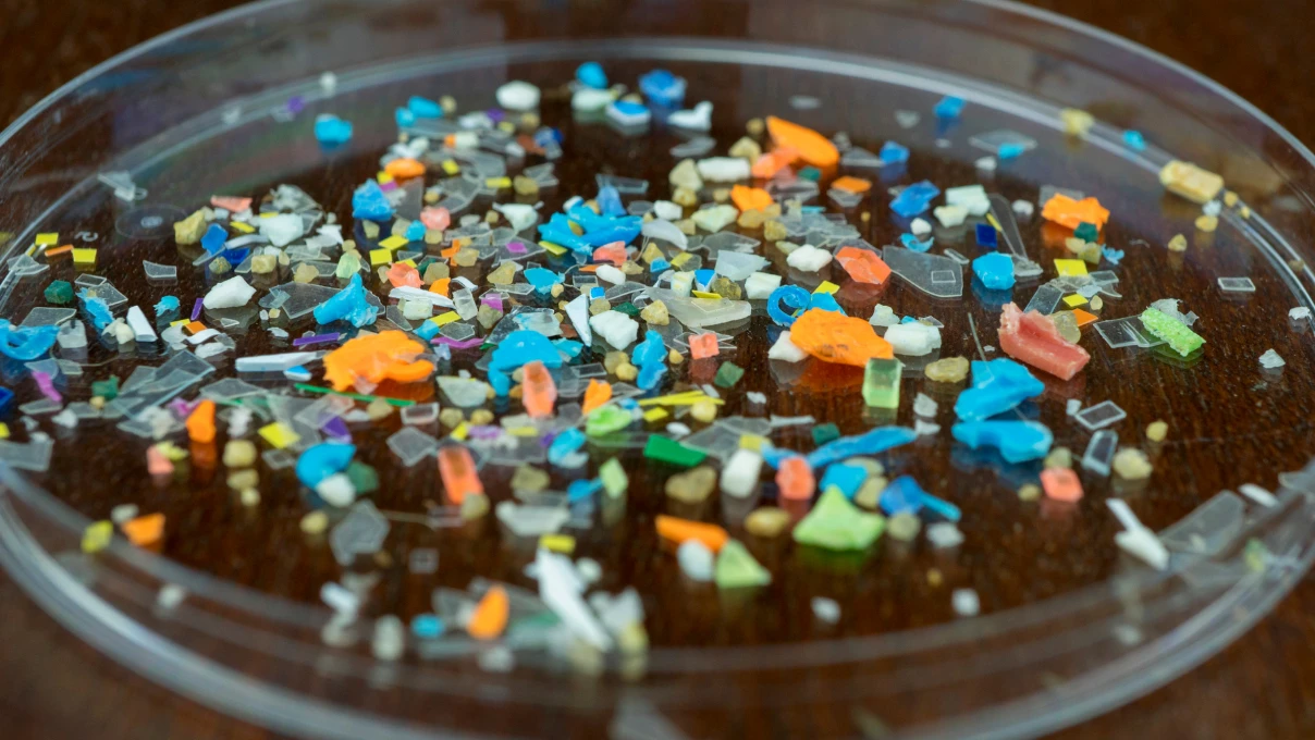 Mikroplastik 1