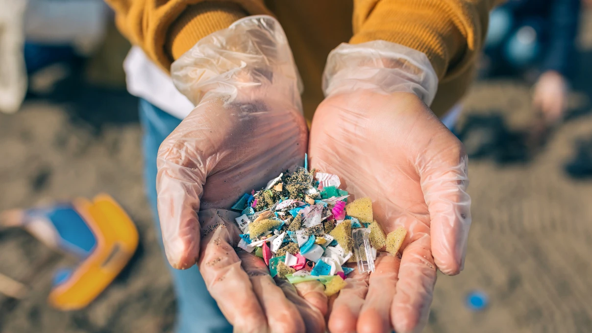 Mikroplastik 6