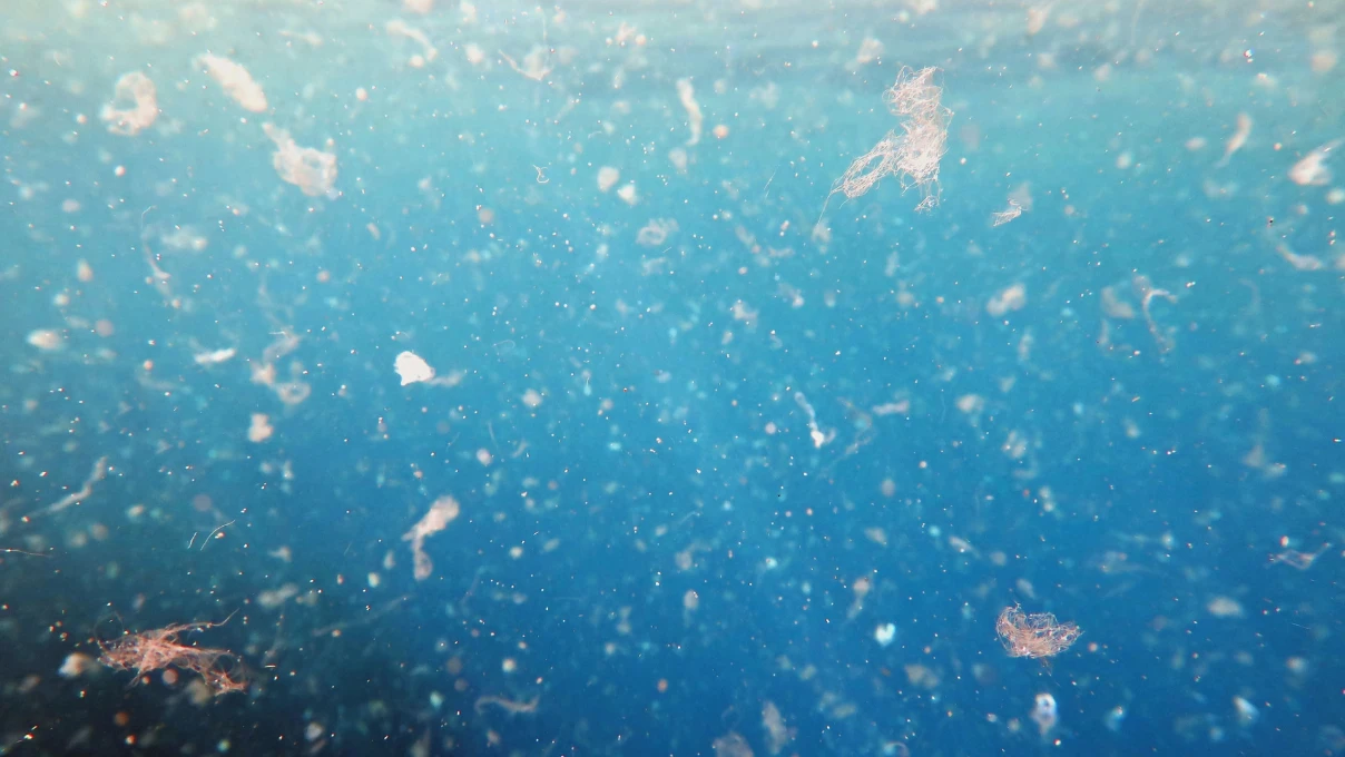 Mikroplastik 7