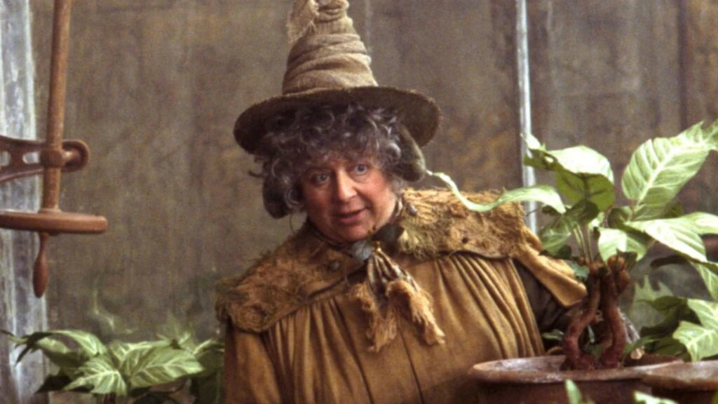Harry Potter'ın 'Profesör Sprout'u Miriam Margolyes’tan dikkat çeken açıklama! “Beş ya da altı yıl içinde öleceğim”