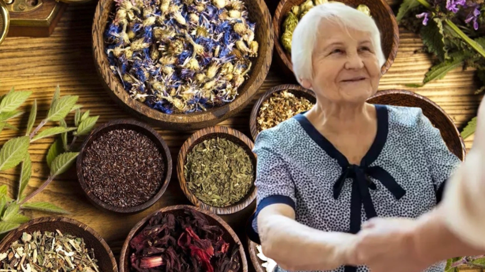 Ninelerimizden gelen bilgiler Unutulmus sifali 5 bitki