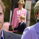 Prens Harryden sasirtan karar Diananin soyadini almak istiyor