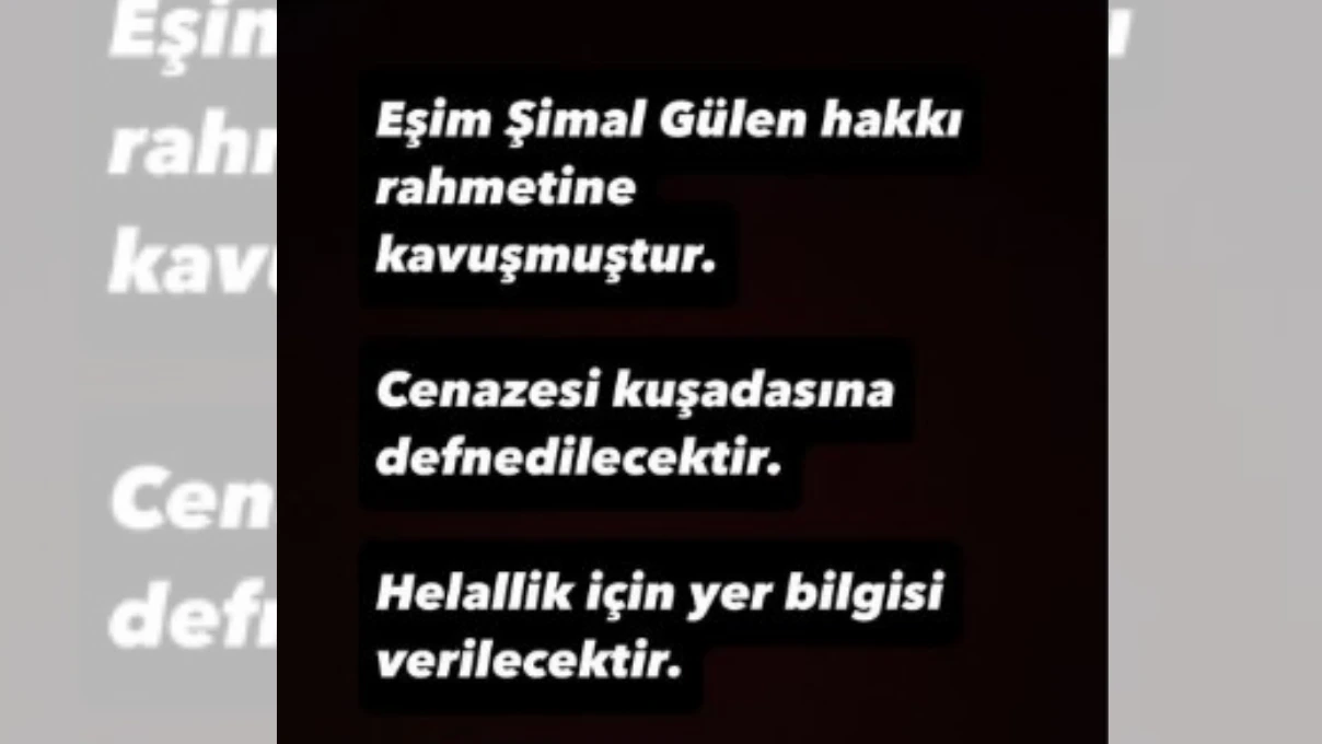 Simal 1 2