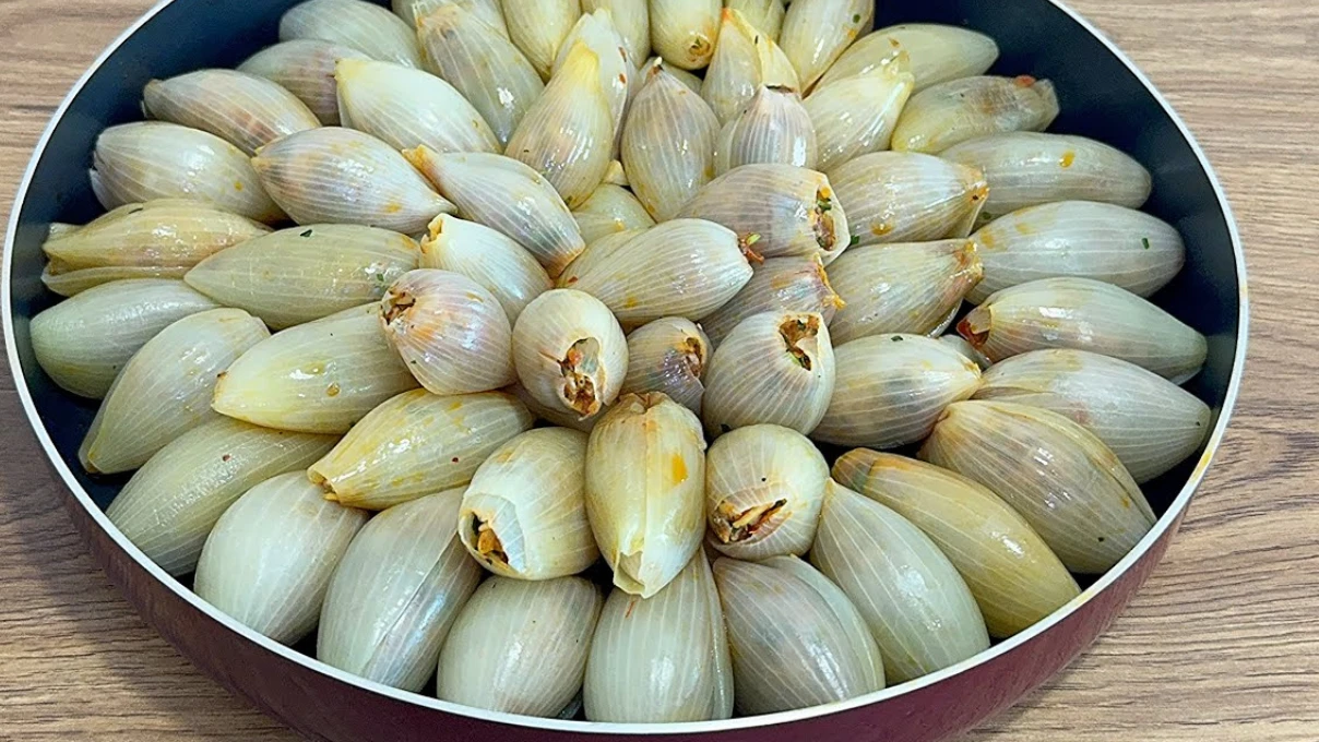 Sogan dolmasi 3