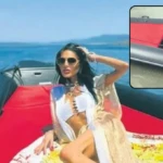 Sureyya yalcin 1