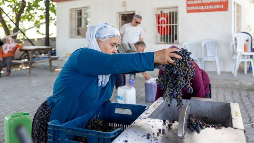 Tarsus’ta üreticilere büyük destek! Üzüm sıkma makinesi kadınların işlerini kolaylaştırdı