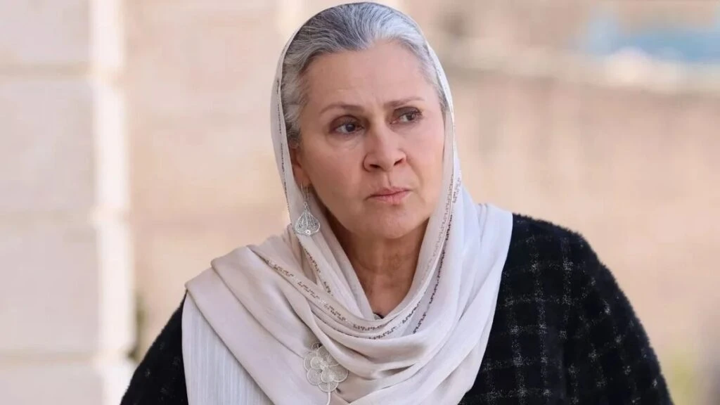 Uzak Şehir dizisinde Sadakat’i vuran Ecmel’mi Ecmel hapse geri mi dönüyor