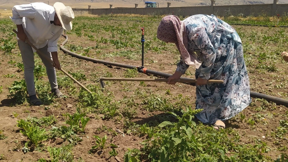 agri 2