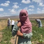 agri 3
